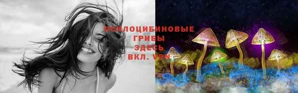 apvp Нея