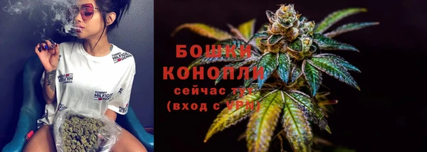 крисы Нефтегорск