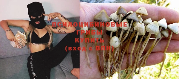 крисы Нефтегорск