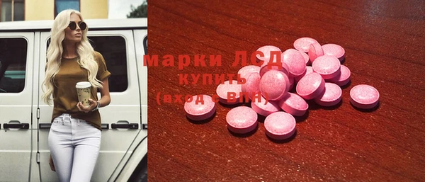 крисы Новозыбков