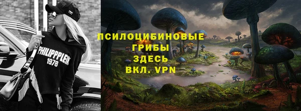крисы Нефтегорск