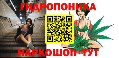 спиды Канаш
